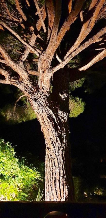 Villarama Saint-Tropez Kültér fotó